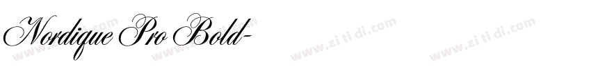 Nordique Pro Bold字体转换
